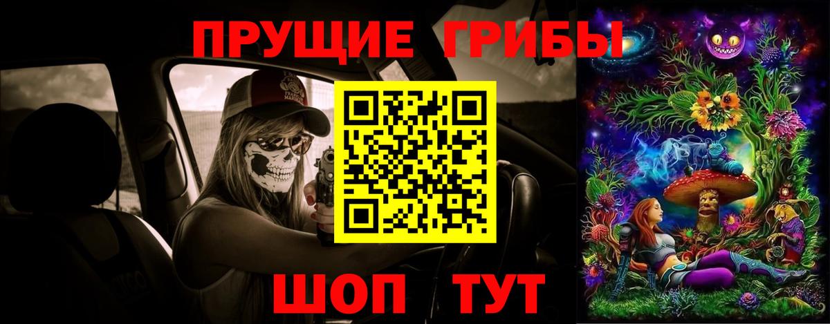 Галлюциногенные грибы Psilocybine cubensis Санкт-Петербург