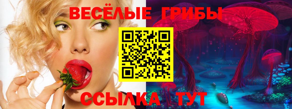 Санкт-Петербург  Галлюциногенные грибы мухоморы  Галлюциногенные грибы мухоморы  закладки  Вход с VPN 