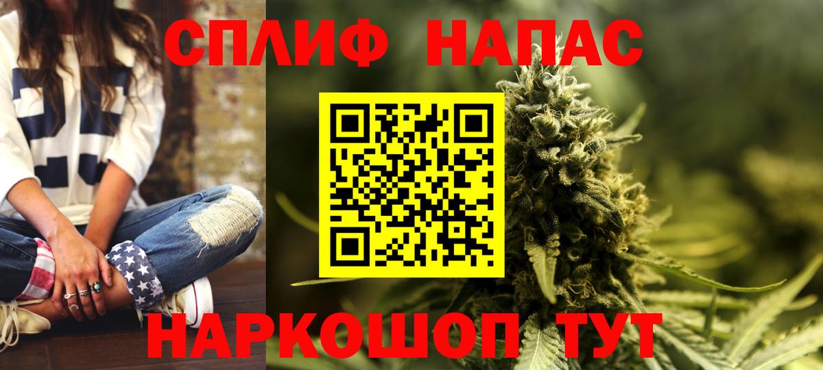 Бошки марихуана сатива Санкт-Петербург